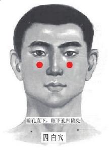 四白穴