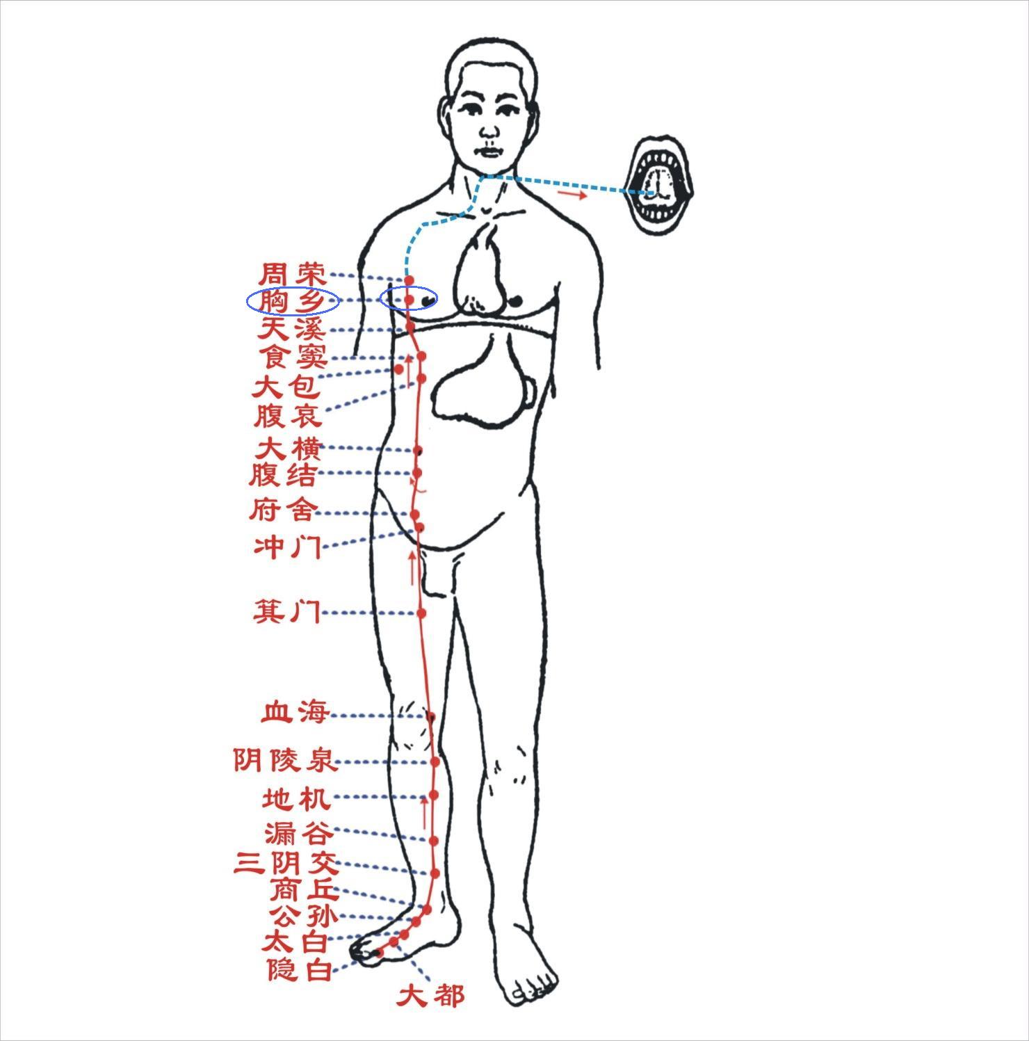 胸乡穴