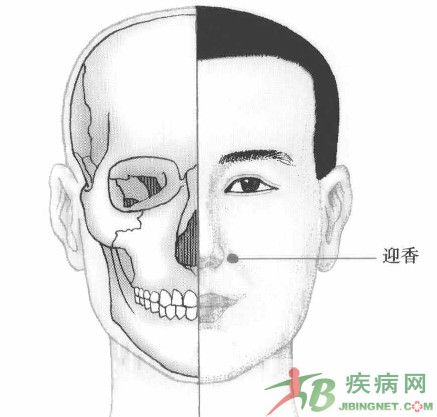 迎香穴