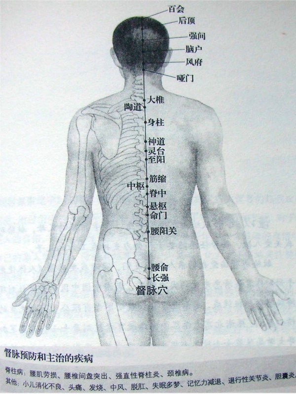 悬枢穴
