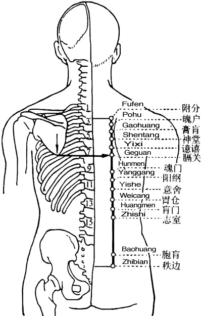 附分穴