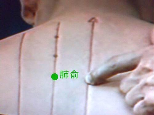 肺俞穴