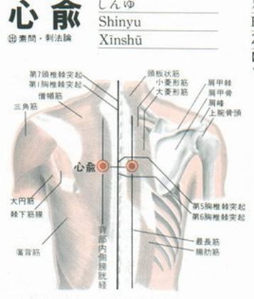 心俞穴