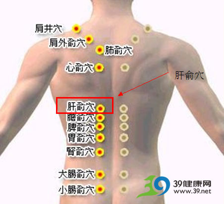 肝俞穴