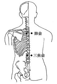 三焦俞穴