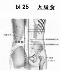 大肠俞穴