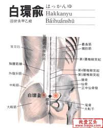 白环俞穴