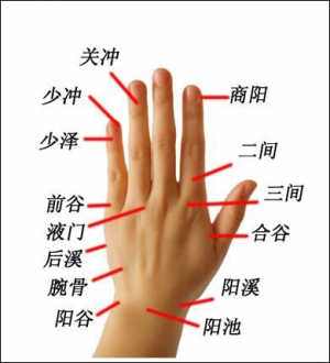 少冲穴