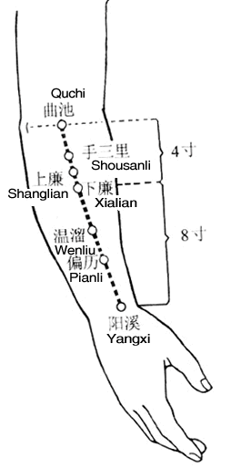 下廉穴