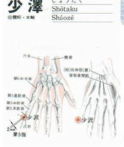 少泽穴