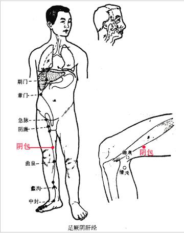 阴包穴