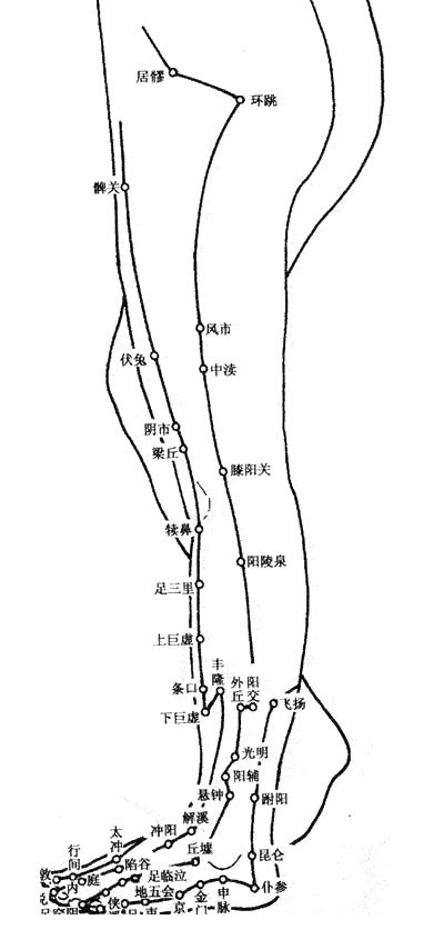 居髎穴