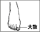 大敦穴