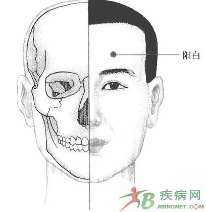 阳白穴