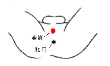 会阴穴